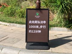 -深圳仙湖植物园