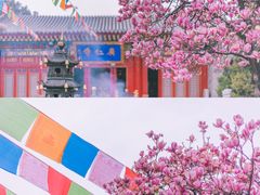 -西安市广仁寺