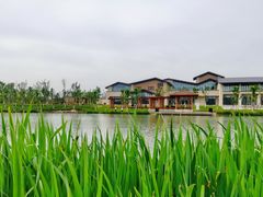 -河北省第三届（邢台园博园）园林博览会