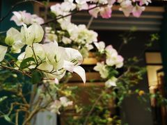 -坂田手造文化街