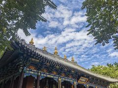 -护国法轮寺
