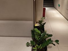 -泰合玺·精油疗愈 SPA(南京河西万达店)