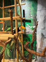 点击看大图 -Zoolung Zoolung动物主题公园(海信广场店)