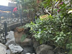 -东江渔村·古典园林·30年粤菜老字号(太和店)