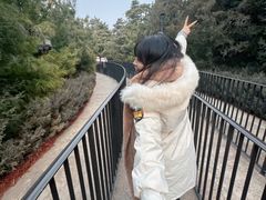 -E·S哈利正版魔法袍出租体验馆