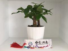 -长沙黄花国际机场-T1航站楼