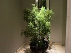 -浅深(世茂滨江精品店)