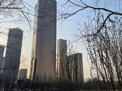-大望京公园