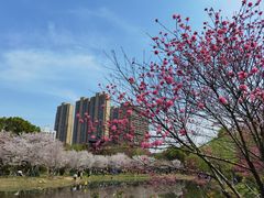 -堤角公园