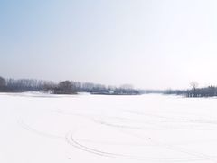 -东郊湿地公园