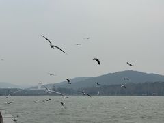 -水上明月·湖景餐厅