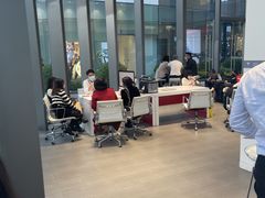 -TESLA 特斯拉(广州天环广场体验店)