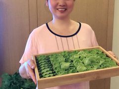 -臻爱住家月嫂育儿嫂(万达店)