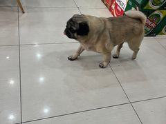 -牛叔鲜羊肉铜火锅(远东小区店)