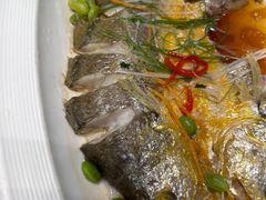 -聚鑫阁江浙菜·非遗传承技艺(闵行交大店)