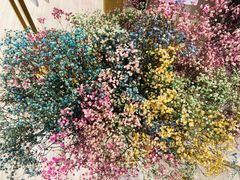 -花邻FloweringLife花艺气球派对(武康大楼店)