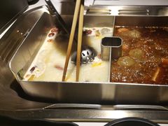 -九鼎轩脆毛肚火锅(南京东路店)
