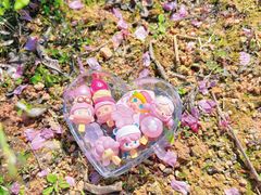 -天适樱花悠乐园