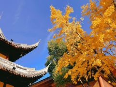 -龙华寺