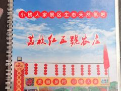 -荔枝红五号农庄