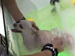 -汪小喵宠物·戴维斯乐芳希施宠馨宝皮毛调理洗护店