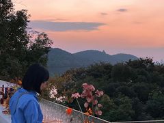 -东湖落雁景区