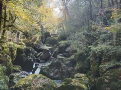 -龙苍沟森林公园