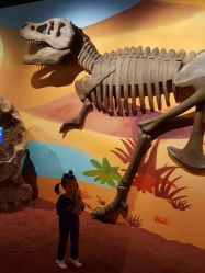 -北京科学中心儿童乐园