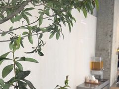 -喜茶(珠海华发商都店)