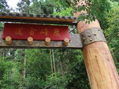 -长沙黑麋峰国家森林公园