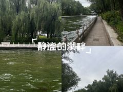 -南长河公园