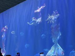 -华夏文旅海洋公园