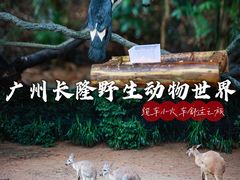 -广州长隆野生动物世界