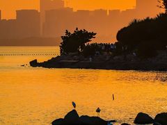 -深圳湾公园(南山区)