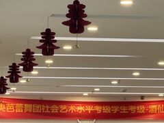 -中央芭蕾舞团·中芭艺蕾(酒仙桥明星校区)