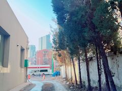 -中国石油加油站(新柳街)