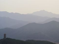 -望湖烤鱼