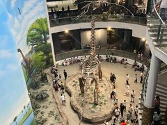 -辽宁古生物博物馆