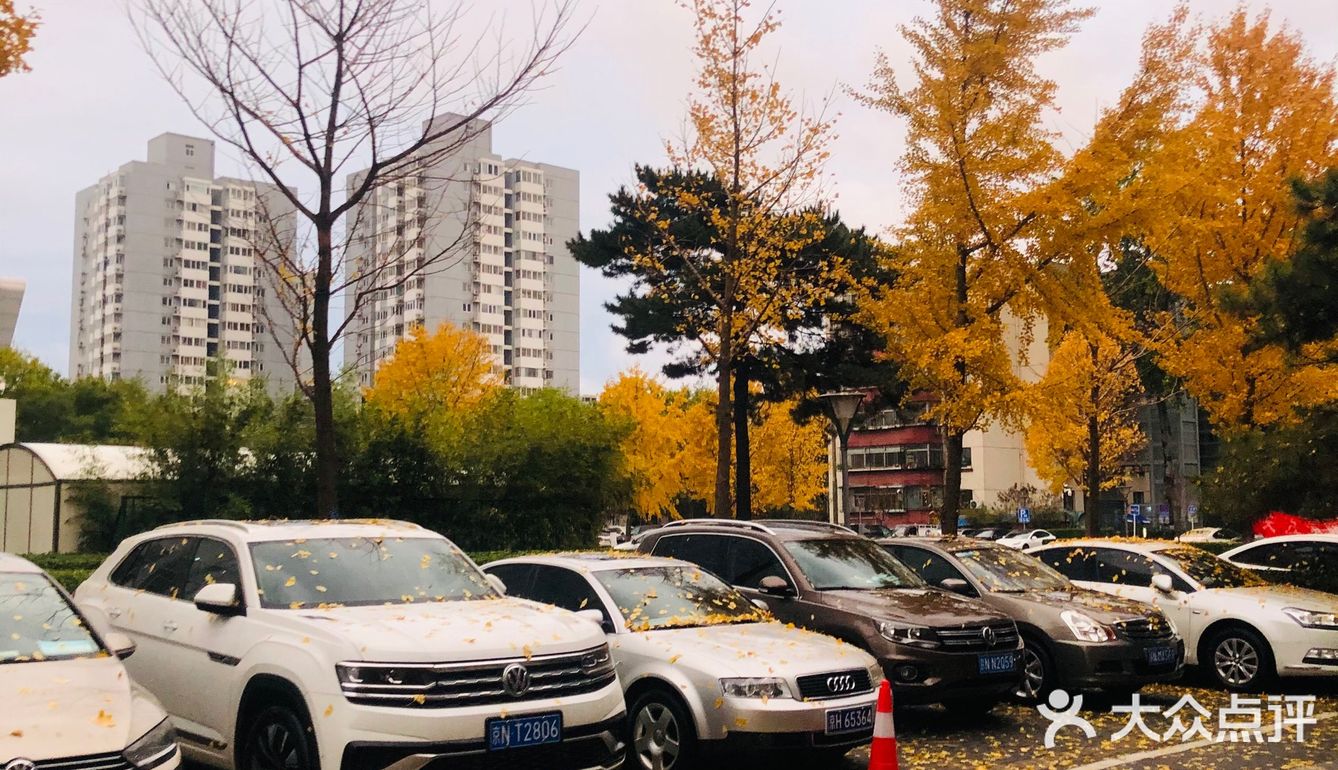 故都的秋