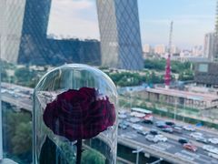 -福楼毕斯罗F Bistronome(国贸商城约会地标景观店)