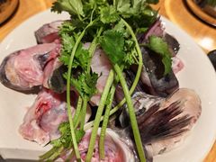 -老凯俚酸汤鱼(多彩城店)