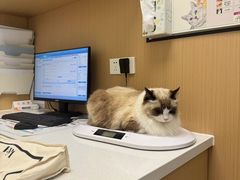 -瑞派康怡24h宠物医院·犬猫医疗中心·微创绝育(瑞景分院)