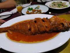红烧黄鱼-燕春楼(海河华鼎店)