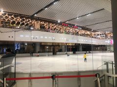 -TheRink大零溜冰场(IFS国金中心店)