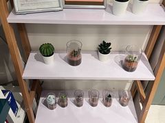 -杏甜品(尖沙咀加拿分道店)