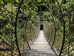 -海南热带雨林国家公园吊罗山景区