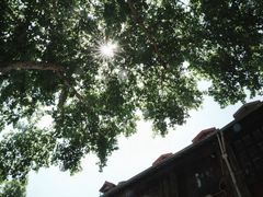 -飞马旅黎黄陂路文旅街区