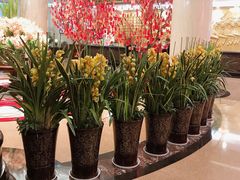 -东瓯大酒店(温州梧田老街店)