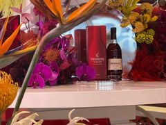 -精绝七日-新疆尼雅遗址数字大展【拉法耶文化艺术中心】