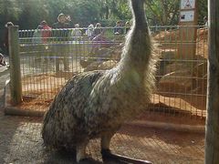 -费瑟代尔野生动物园